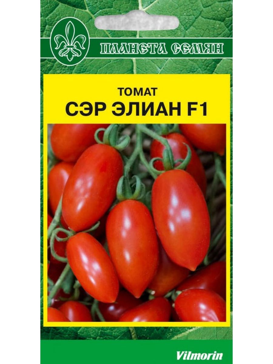 Томат сэр. Помидоры сэр Элиан f1. Помидор сорт сэр Элиан. Томат "сэр Элиан" f1 индетерминантный. Сэр Элиан томат описание.