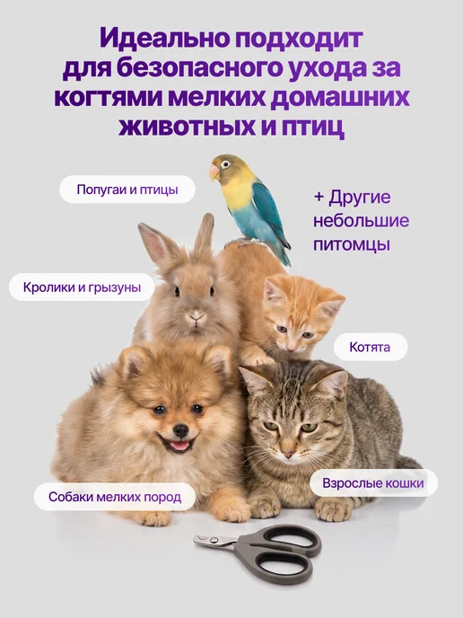 YART Когтерезка для кошек собак, ножницы для стрижки когтей, вариант, фото 7