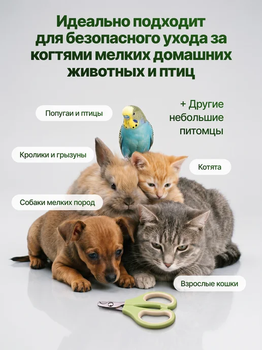 YART Когтерезка для кошек собак, ножницы для стрижки когтей, белый, фото 7