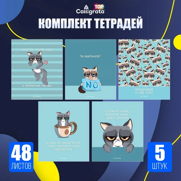 Комплект тетрадей 5 штук, 48 листов в клетку