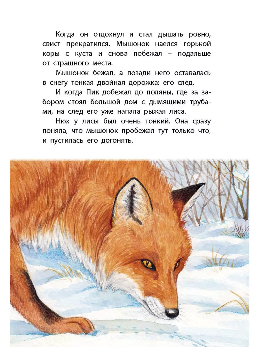 Мышонок Пик Энас-Книга 196419295 купить за 433 ₽ в интернет-магазине  Wildberries