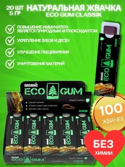 Жевательная резинка «ECO GUM» Classic. Блок 100 жвачек Байкальская живица 196449031 купить за 682 ₽ в интернет-магазине Wildberries