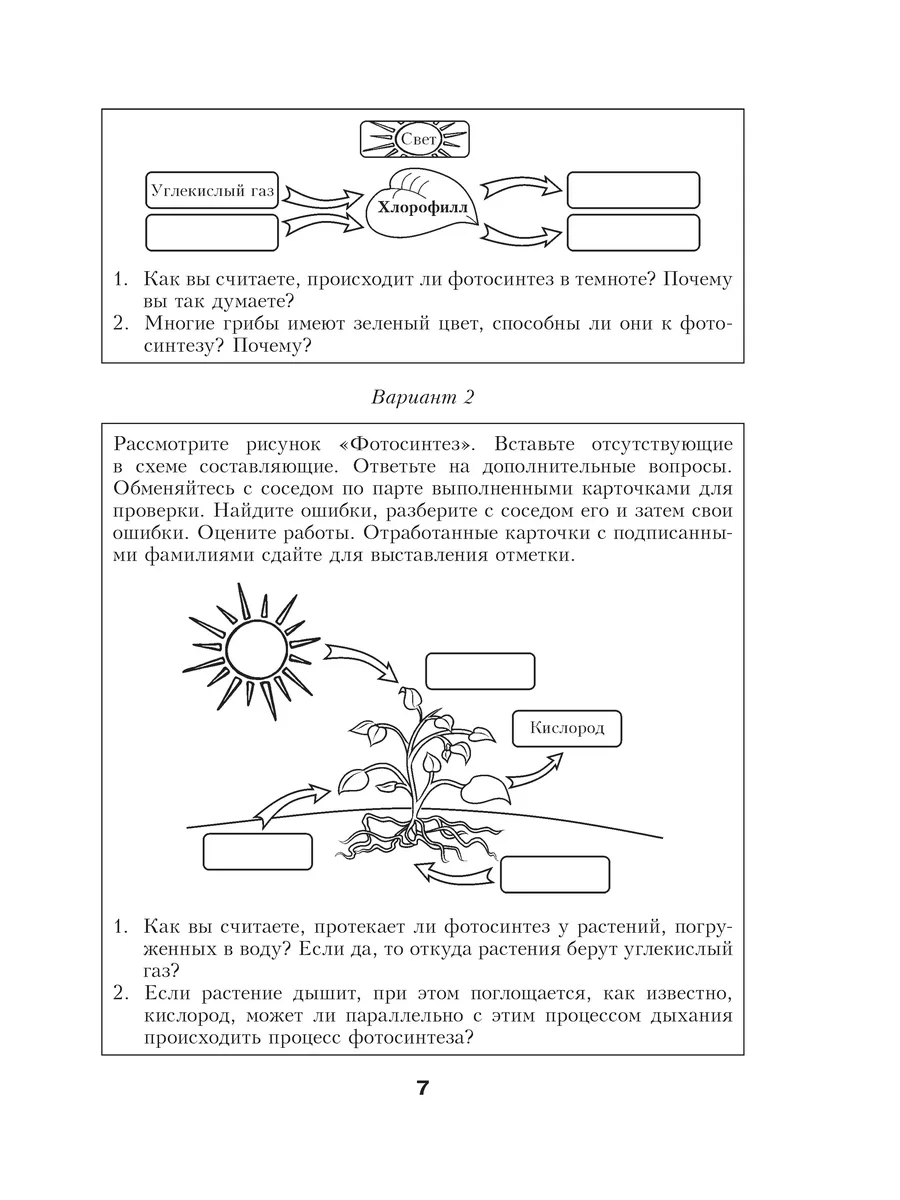 Биология. Планы-конспекты уроков. 6 класс (II полугодие) Выснова 196592973  купить за 388 ₽ в интернет-магазине Wildberries