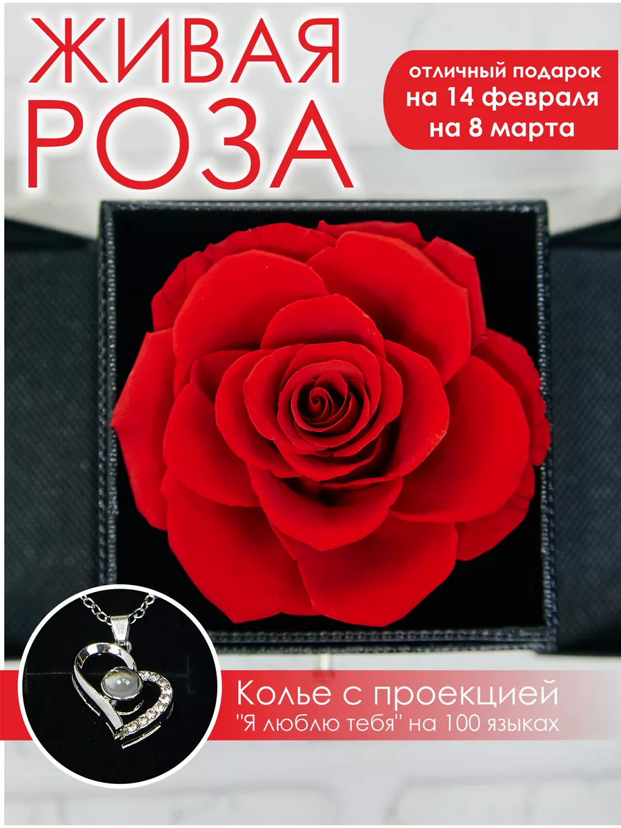 Вечная живая стабилизированная роза в колбе подарок