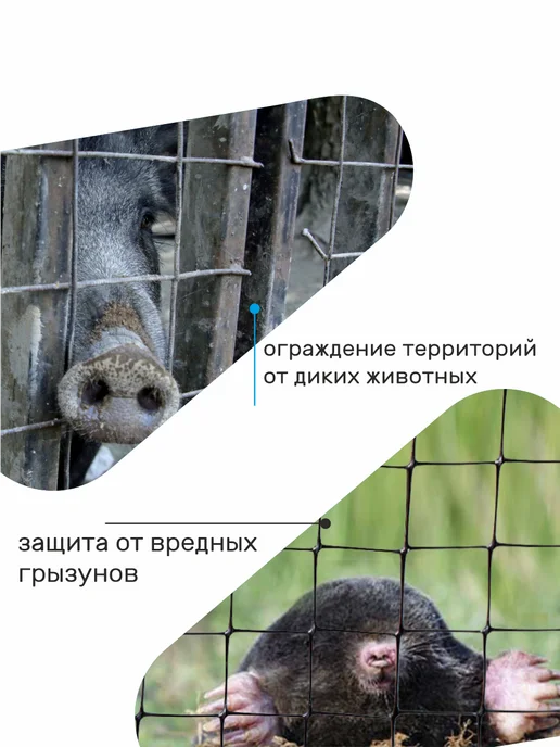 Verda Line Сетка металлическая для забора сварная оцинкованная мелкая, вариант, фото 4