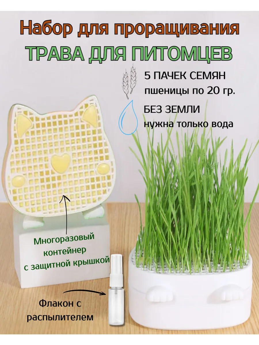Трава для кошек для проращивания