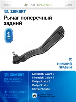 zekkert Рычаг поперечный задний, нижний правый для Митсубиси Галант