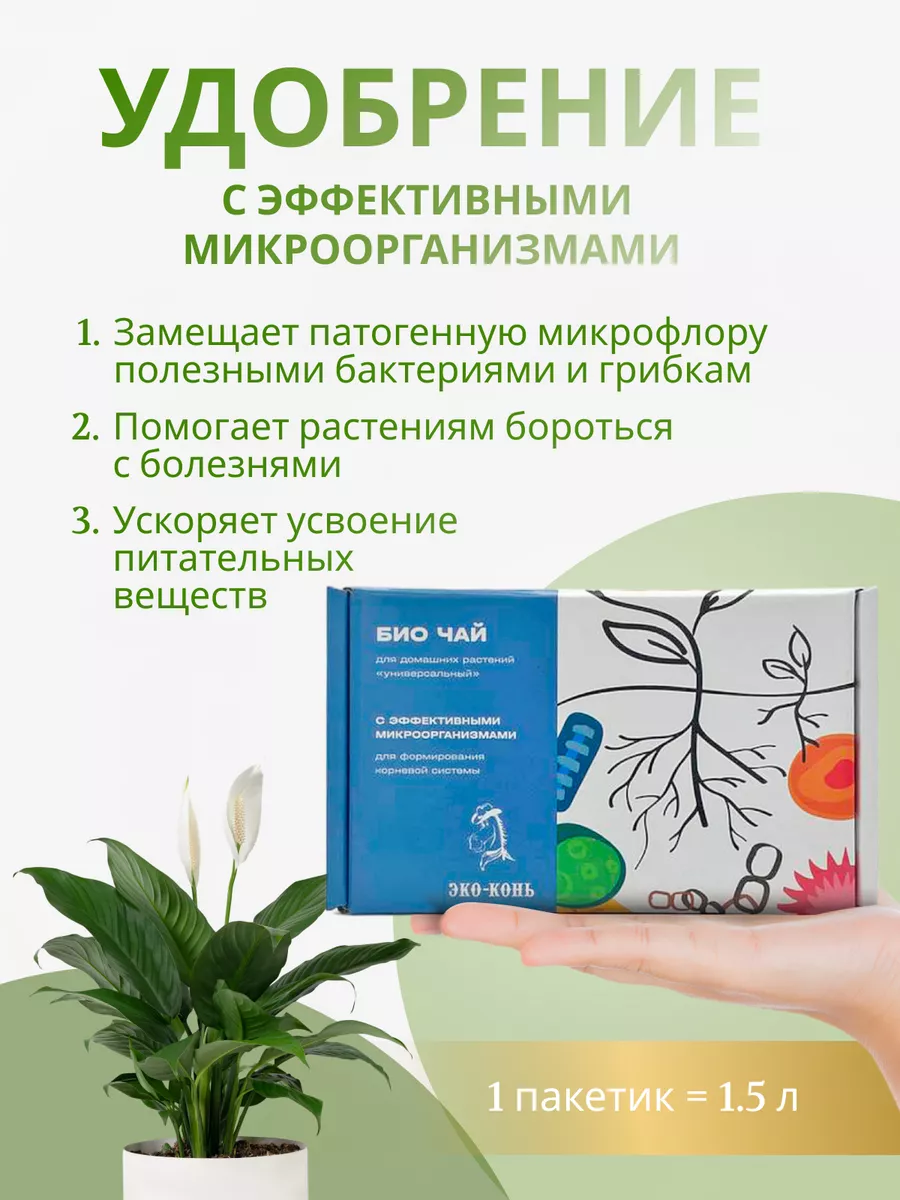 Кофейная гуща как источник полезных веществ