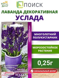 Семена Лаванда декоративная Услада 0,25 гр многолетние ПОИСК 196752726 купить за 62 ₽ в интернет-магазине Wildberries