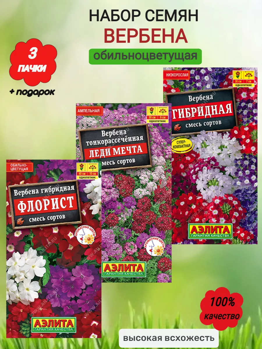 семена цветов Вербена, 3уп Агрофирма Аэлита 196816588 купить за 224 ₽ в  интернет-магазине Wildberries