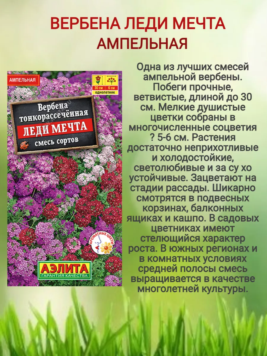 семена цветов Вербена, 3уп Агрофирма Аэлита 196816588 купить за 224 ₽ в  интернет-магазине Wildberries