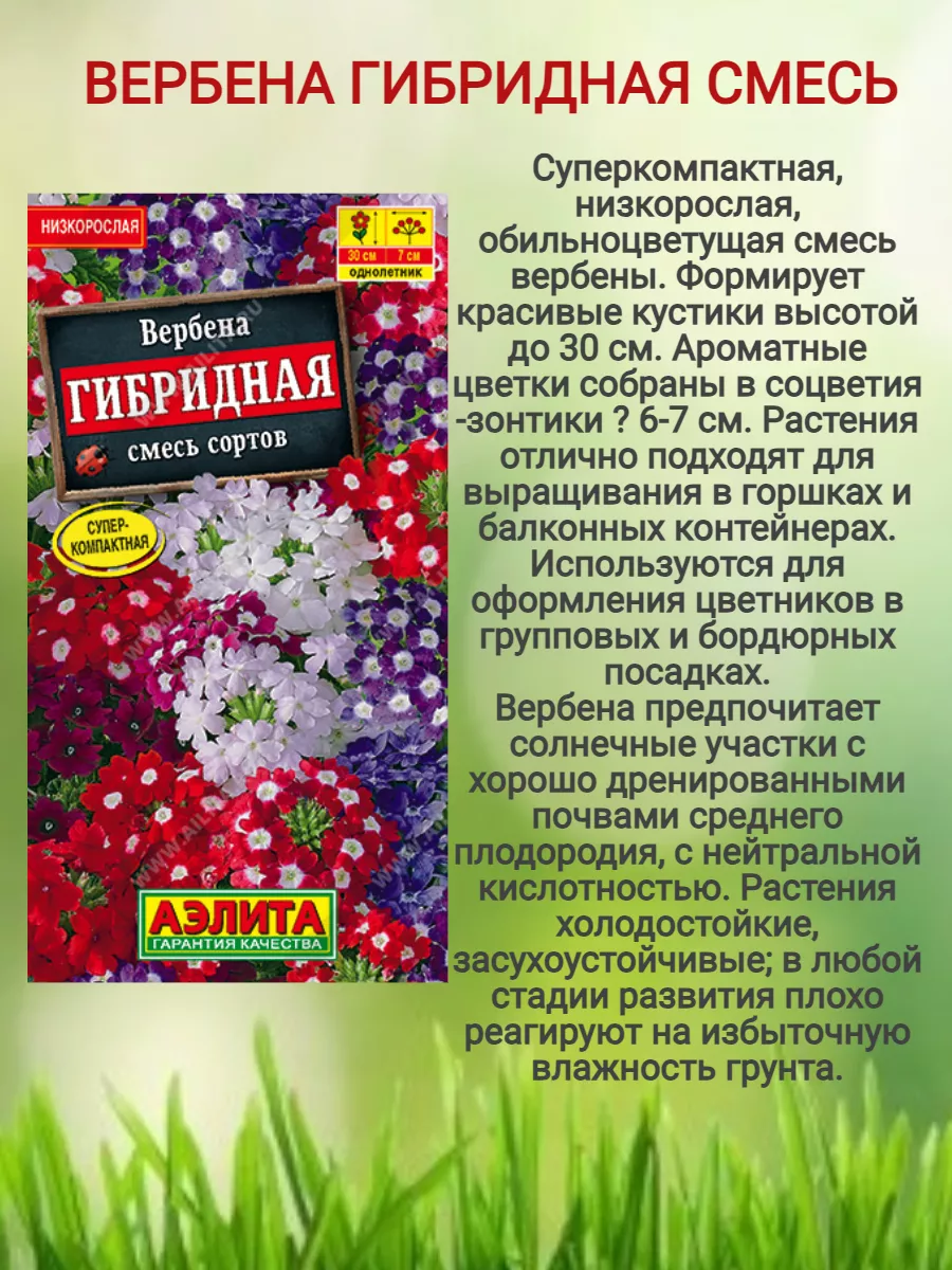 семена цветов Вербена, 3уп Агрофирма Аэлита 196816588 купить за 224 ₽ в  интернет-магазине Wildberries