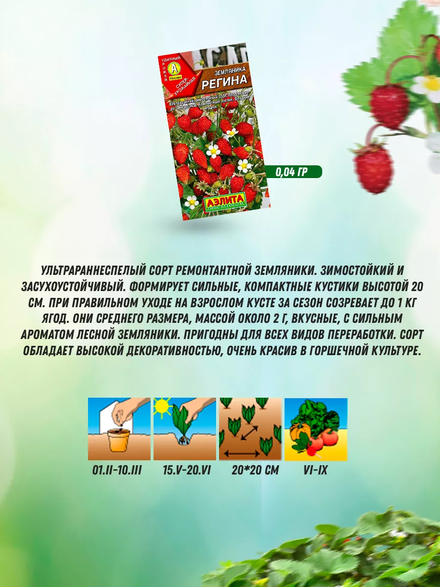 Семена земляники ремонтантная 10 шт Агрофирма Аэлита 196821434 купить за  323 ₽ в интернет-магазине Wildberries