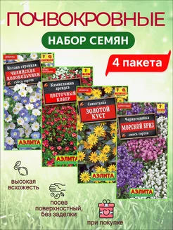 Почвокровные для альпийских горок и каменистых садов Агрофирма АЭЛИТА 196904113 купить за 207 ₽ в интернет-магазине Wildberries