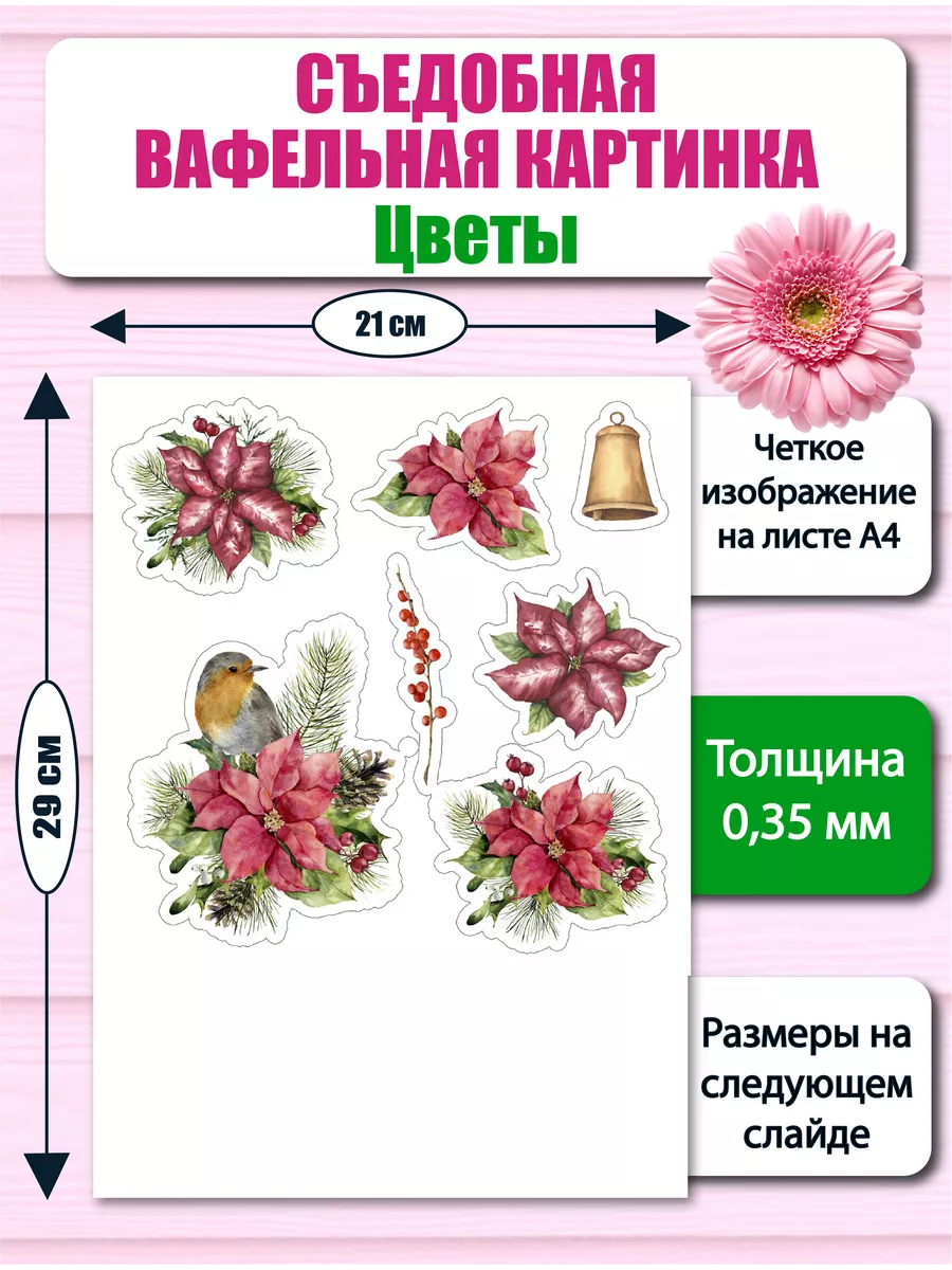 7 фотостоков для заработка