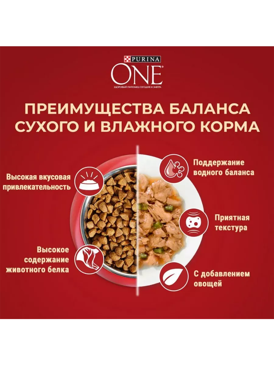 Пурина One для собак мелких пород с говядиной 1.5кг 4шт Purina One  196999516 купить за 2 522 ₽ в интернет-магазине Wildberries