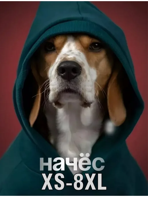 DoggyDress Худи для собак с капюшоном