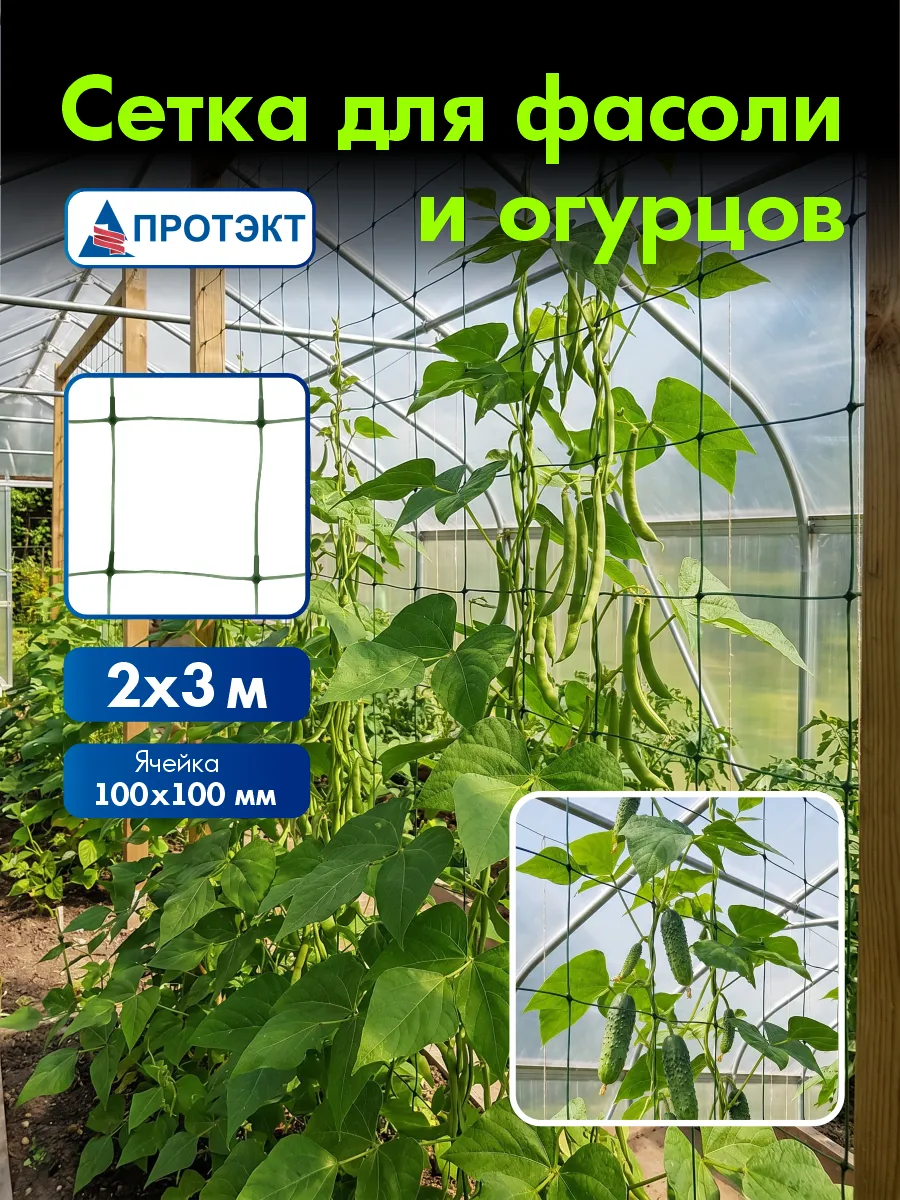 Шпалерная сетка для фасоли, вьющихся растений 2*3 м