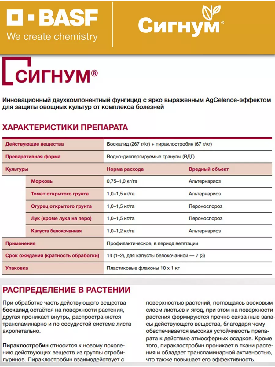 Как сделать сигну в ВКонтакте, ее особенности и значение