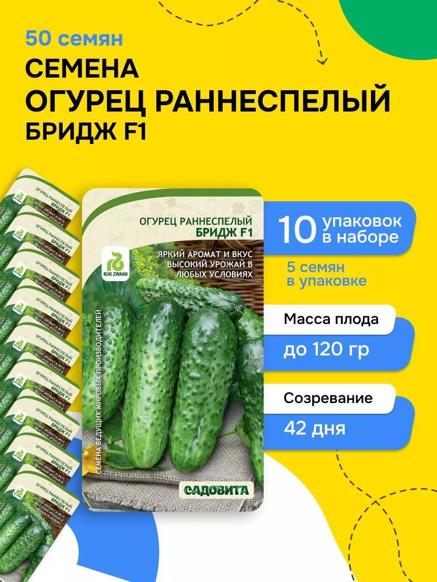 Огурцы Бьерн Купить Семена