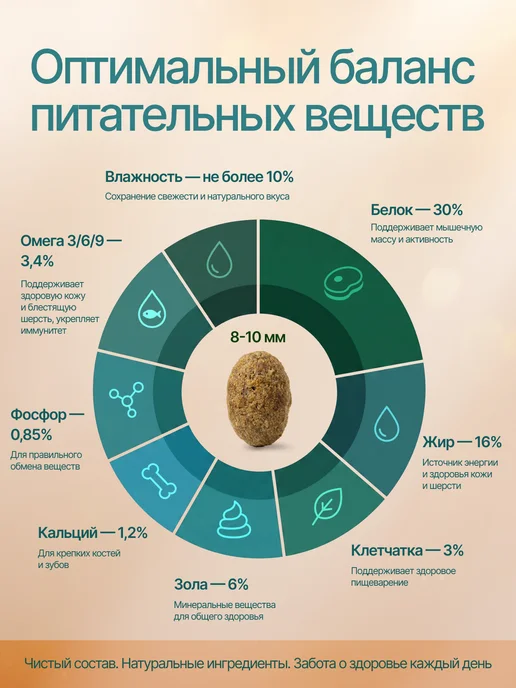 Сухой корм MR.GURMANOV для собак, мелкие, щенки, 10 кг, фото 4