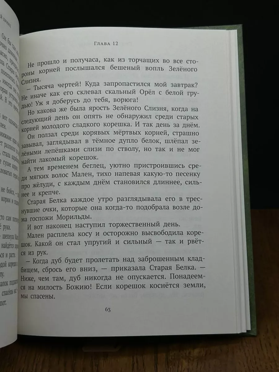 Подземный принц Издательский дом Мещерякова 197292272 купить в  интернет-магазине Wildberries