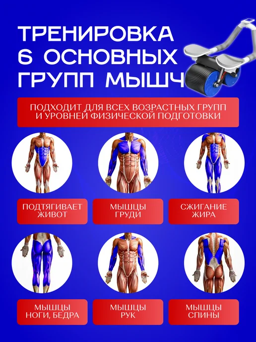 KUQUAY Ролик для пресса с возвратным механизмом, синий, фото 2