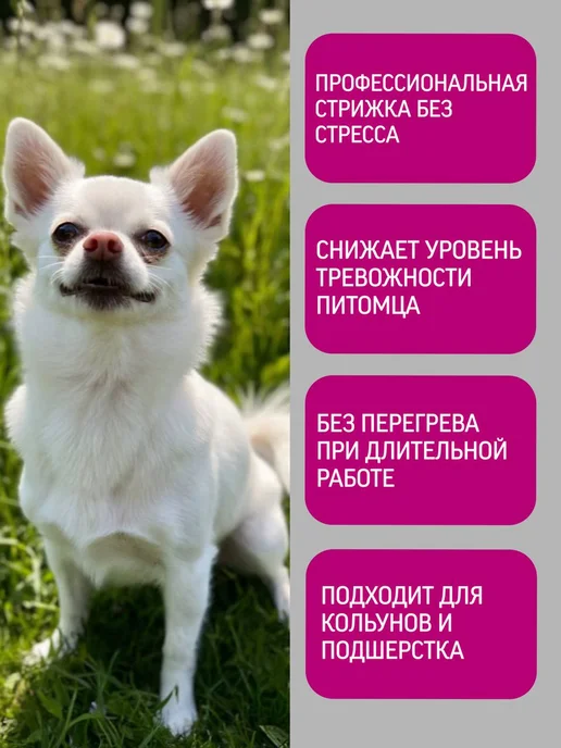 CODOS Профессиональный триммер для кошек и собак, белый, фото 2