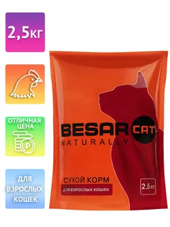 Сухой корм для кошек 2,5кг BESAR 197322442 купить за 301 ₽ в интернет-магазине Wildberries