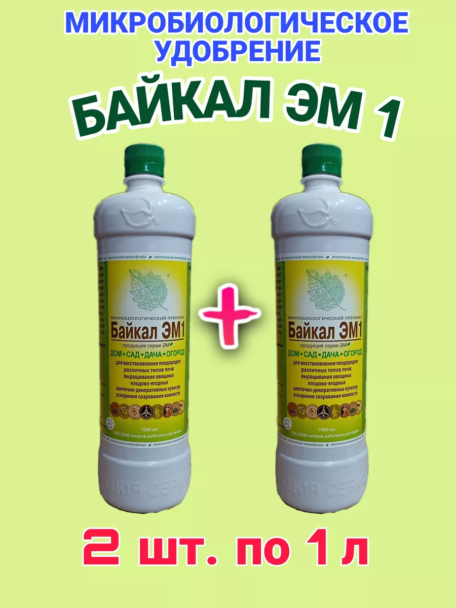 Байкал ЭМ1...