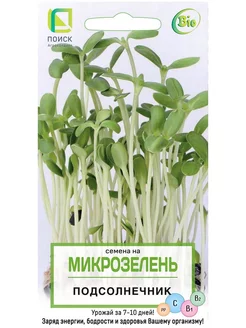 Семена на Микрозелень Подсолнечник, 8 гр ПОИСК. Вид 4.