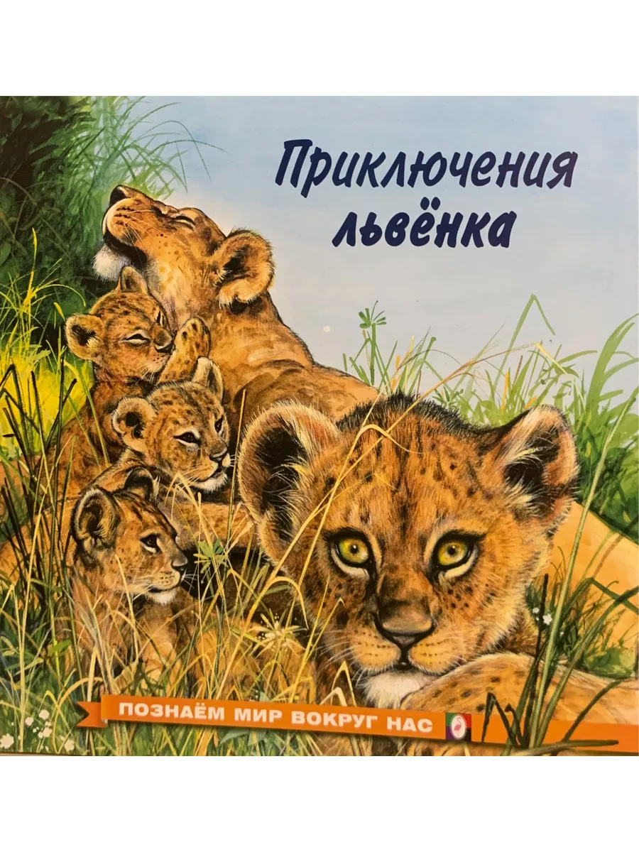Приключения львёнка