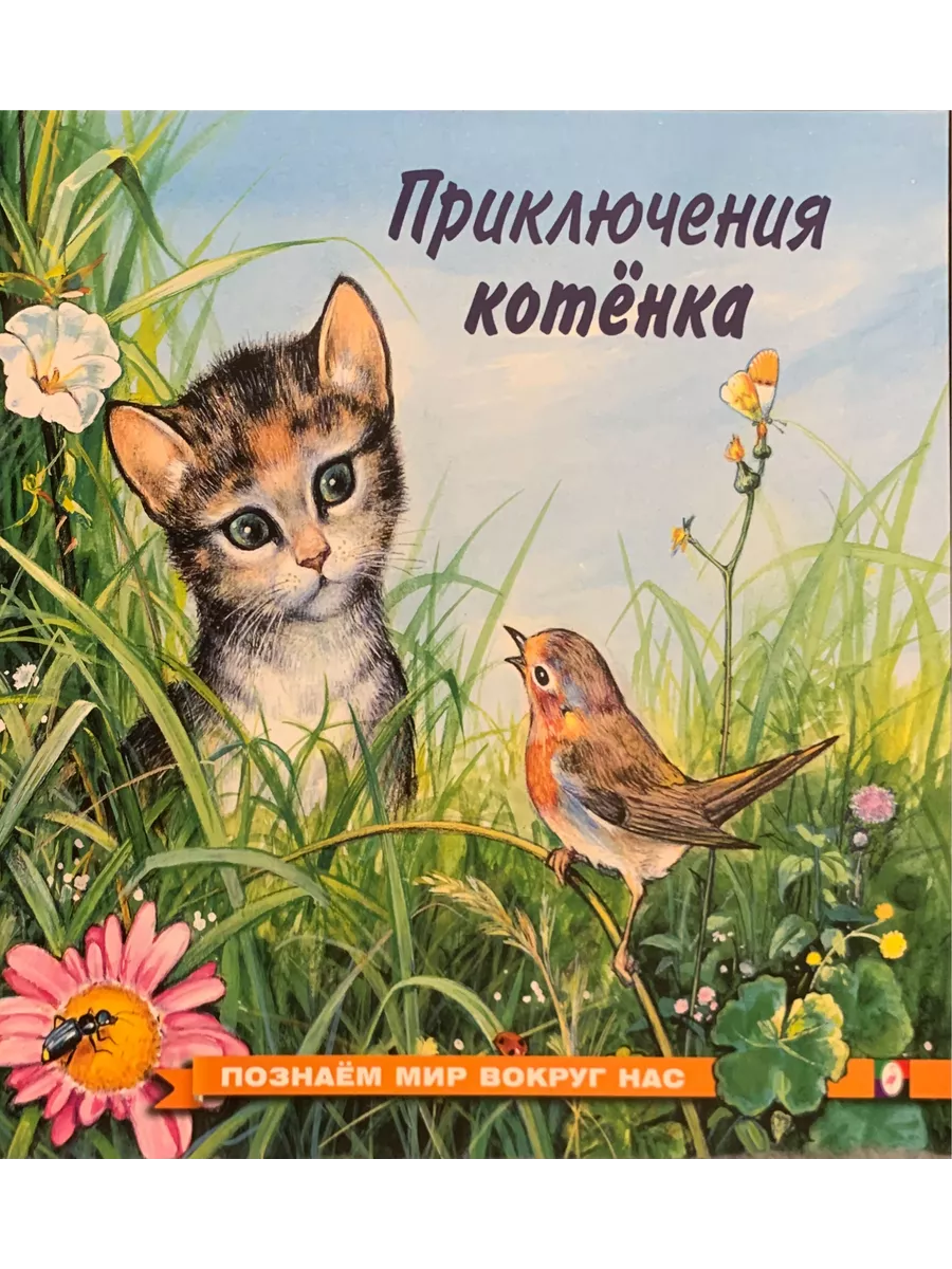 Приключения котёнка