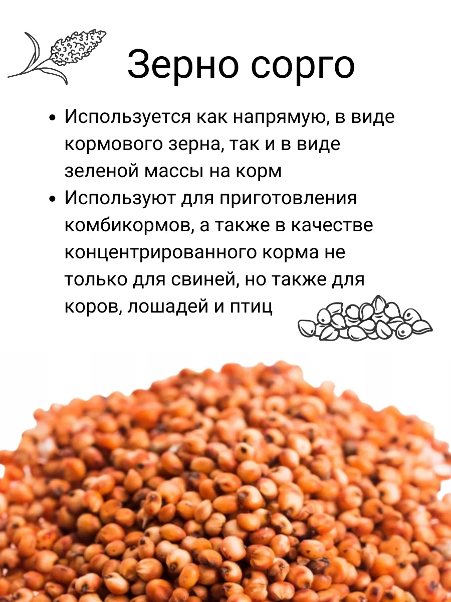 Смесь зерна белого и красного сорго КРУПОВИЧОК 197430467 купить за 370 ₽ в  интернет-магазине Wildberries