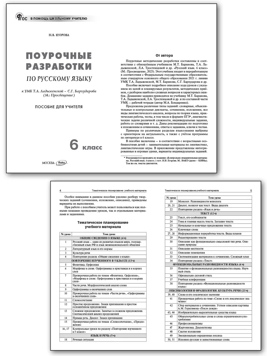 Поурочные разработки по русскому языку. 6 класс. Издательство ВАКО  197486964 купить за 571 ₽ в интернет-магазине Wildberries