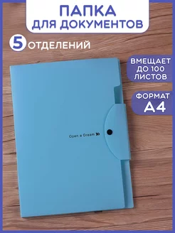 Папка для хранения документов органайзер для бумаг на кнопке Tata store 197520391 купить за 344 ₽ в интернет-магазине Wildberries