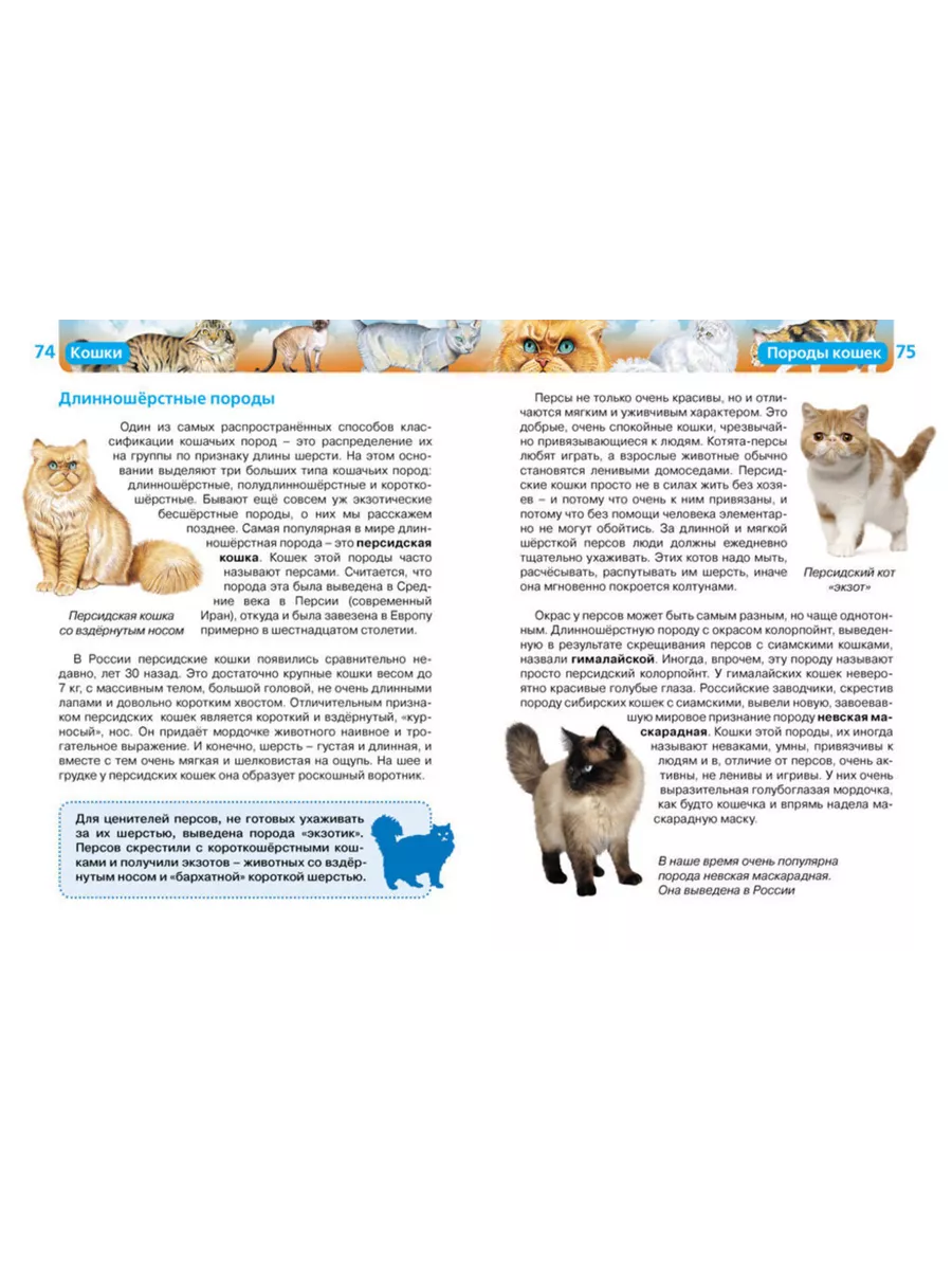 25 детских книг про котов и кошечек