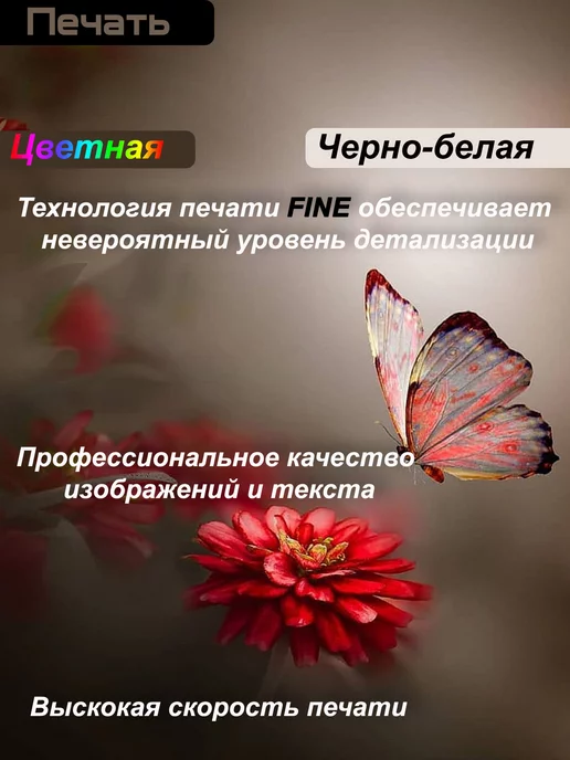 CANON Принтер Цветной МФУ струйное 3в1 фотопринтер ксерокс сканер, вариант, фото 2