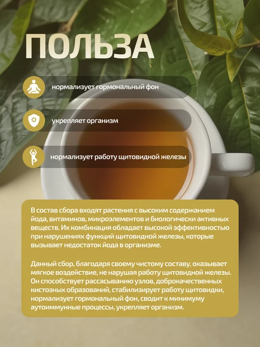 Фитоморе Фитосбор Нет узлам на щитовидке, 50 гр, 50 г, фото 4