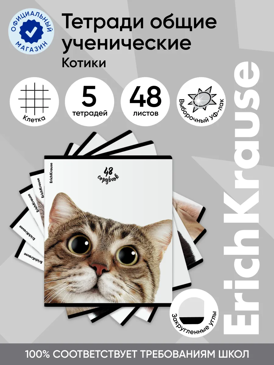 Тетрадь 48 листов, клетка 5...