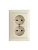 Розетка двойная с заземлением слоновая кость 1 шт Legrand 197619213 купить за 524 ₽ в интернет‑магазине Wildberries