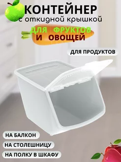 Ящик для овощей хранение на кухне FORMULA PROF_HOME 197669614 купить за 854 ₽ в интернет-магазине Wildberries