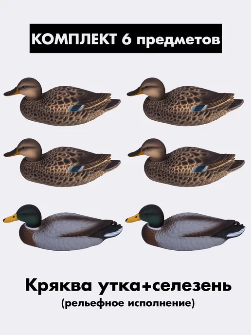 Как развести уток у себя на домашнем огороде :: АФАНАСОВО