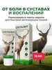 Крем гель для суставов и связок обезболивающий Сусталит Алтея 197804490 купить за 456 ₽ в интернет‑магазине Wildberries