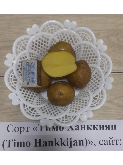 АЛГОР-ЭКОПРОДУКТ Картофель Тимо Ханккиян - 1 кг, 1 кг
