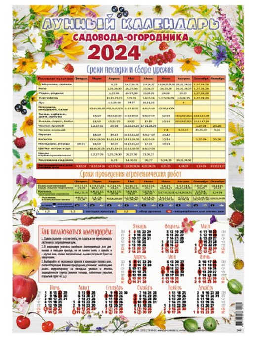 Календарь садовода на февраль 2024 г