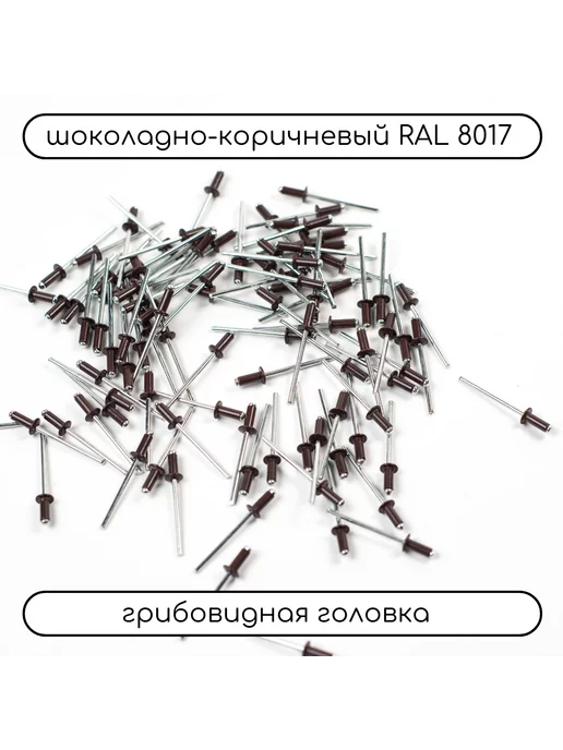 Дометизов Заклепка вытяжная 3,2х8 коричневая RAL 8017, 500 шт, 3.2x8, 500 шт, фото 2