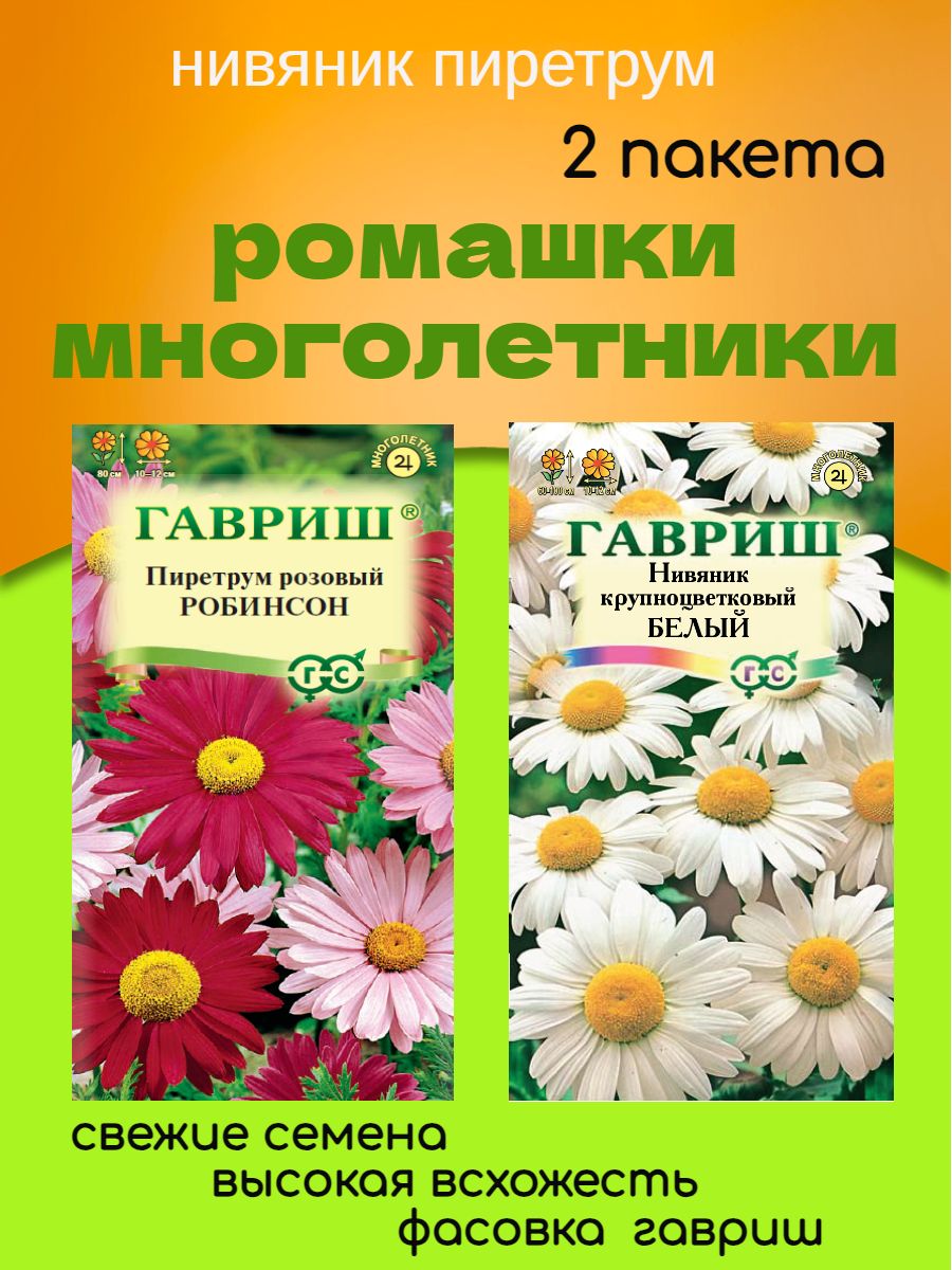Семена пиретрум нивяник набор 2 пакета Гавриш 197890709 купить за 195 ₽ в  интернет-магазине Wildberries
