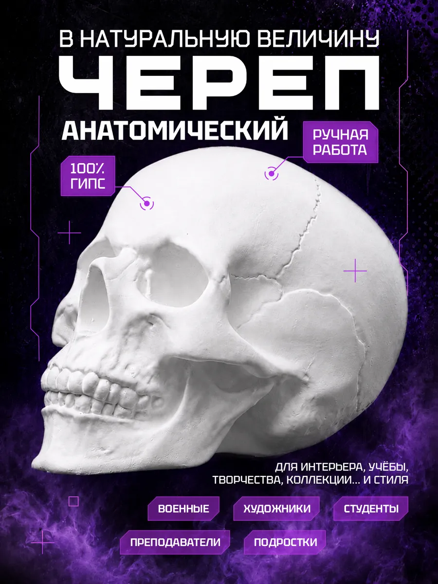Череп декоративный анатомический статуэтка для интерьера