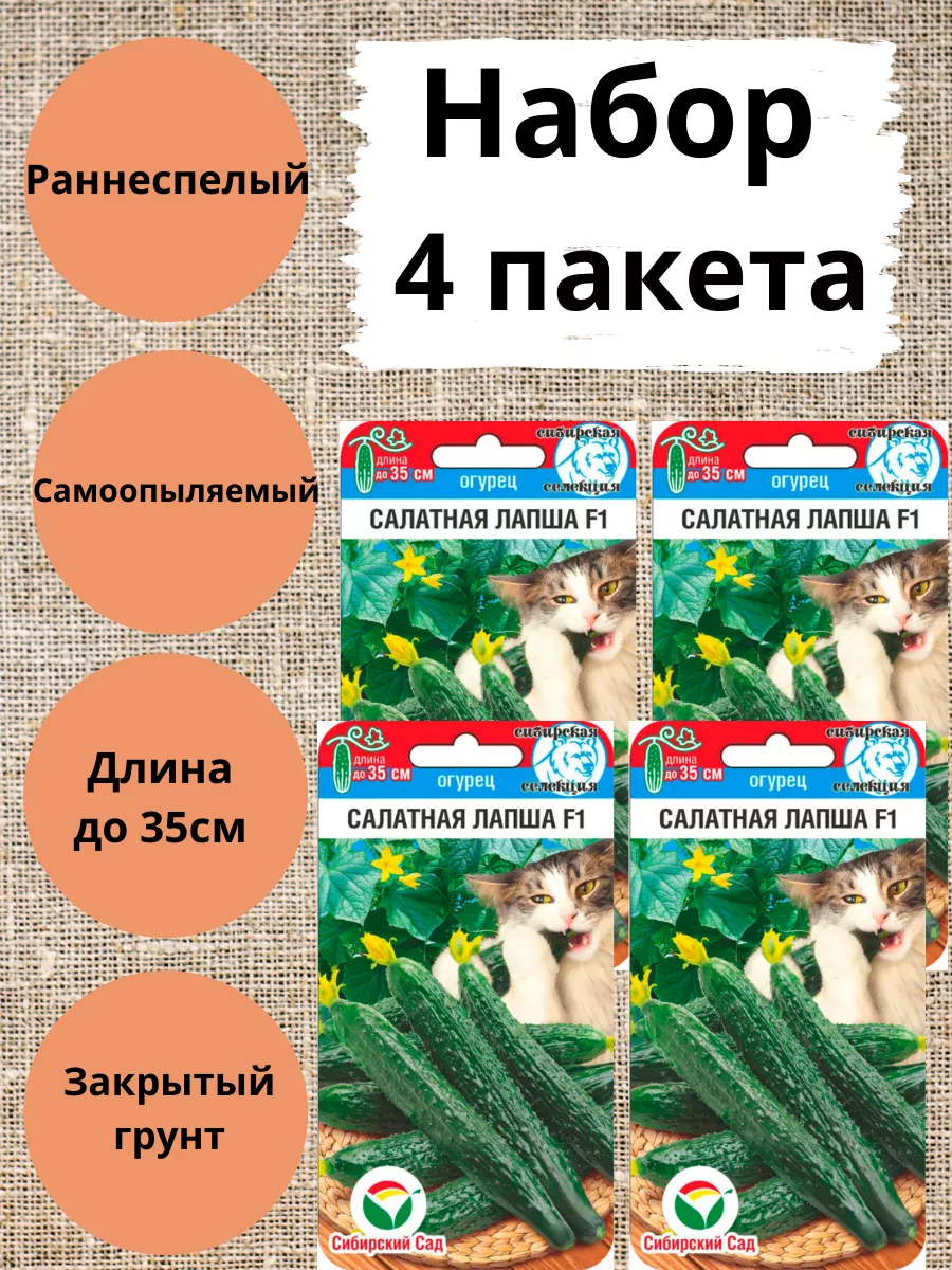 Огурец Салатная лапша 7шт Сибирский сад 197921890 купить за 247 ₽ в  интернет-магазине Wildberries